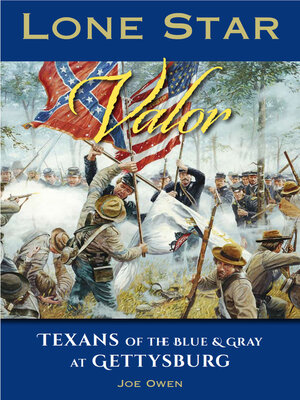 cover image of Lone Star Valor